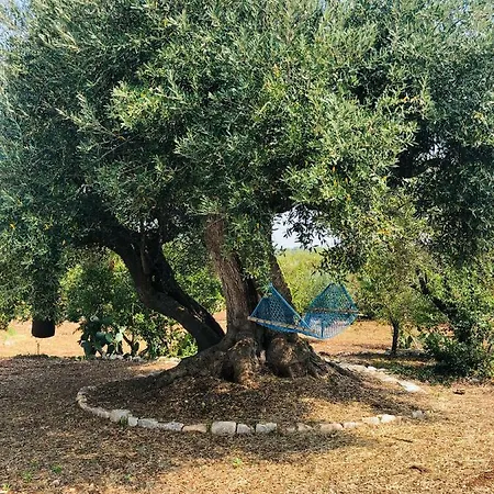Trullo Di Catarin 度假居 *