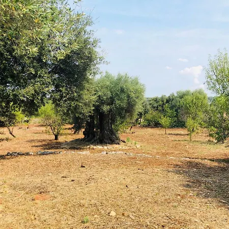 Trullo Di Catarin *